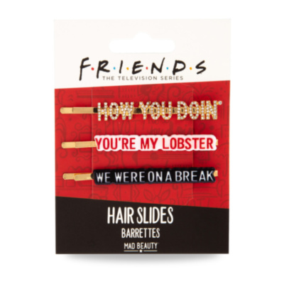 Friends Hair Slides